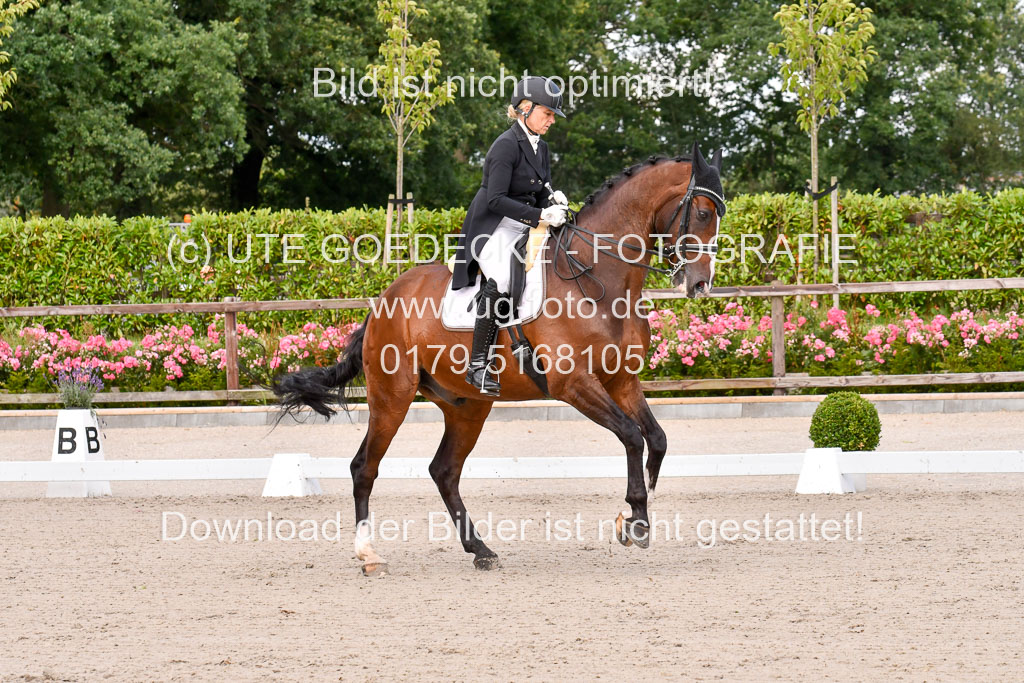 Klein Offenseth Dressur  1.8.2021 | 01082021 Dressur  KL S +_032 