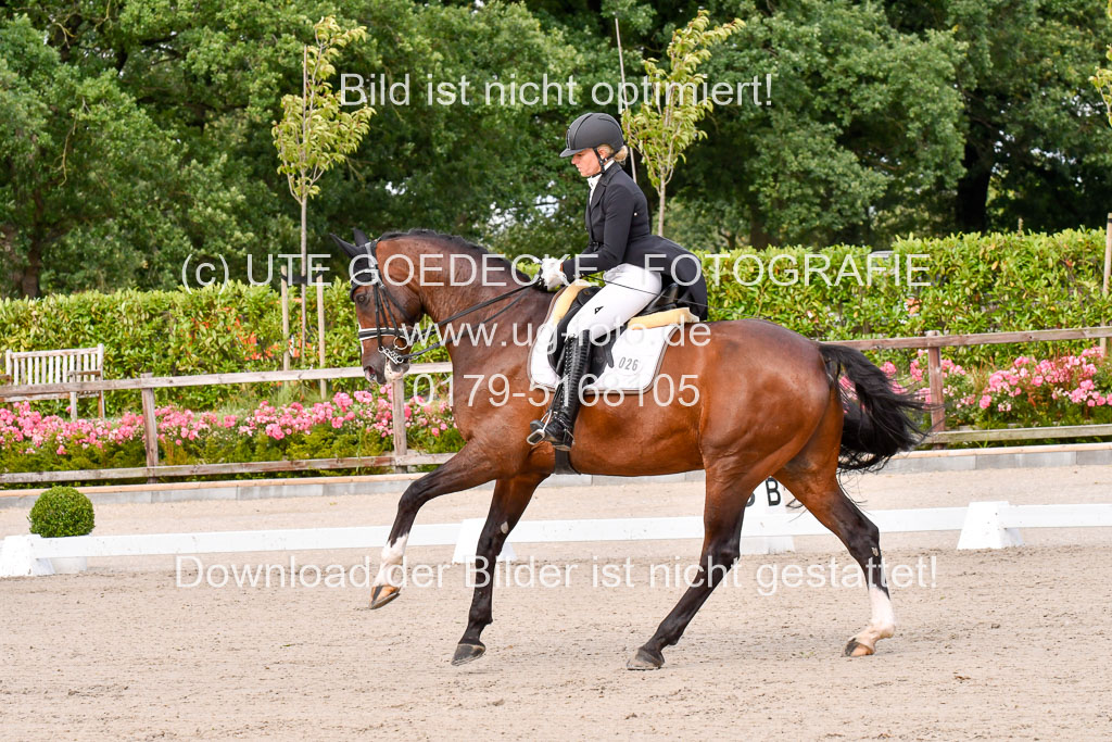 Klein Offenseth Dressur  1.8.2021 | 01082021 Dressur  KL S +_038 