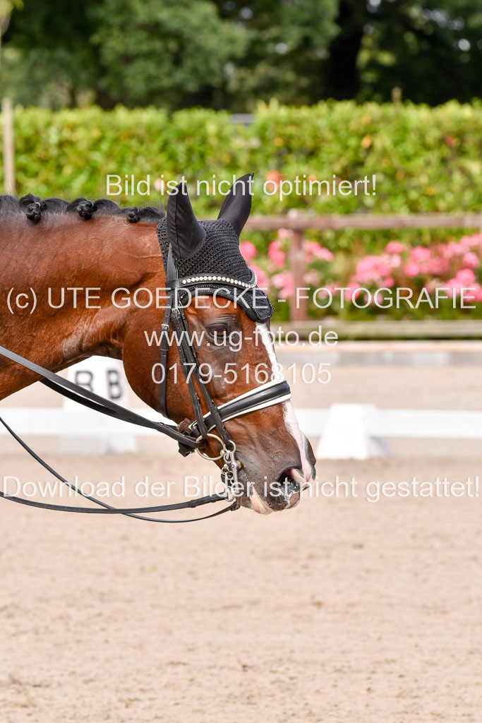 Klein Offenseth Dressur  1.8.2021 | 01082021 Dressur  KL S +_047 