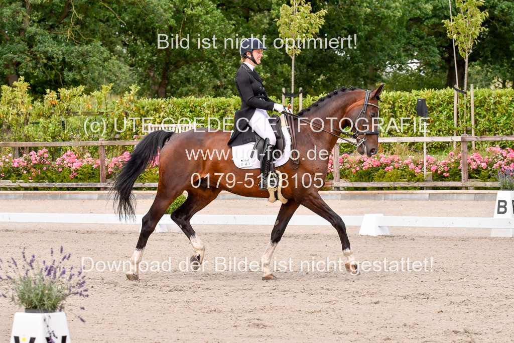 Klein Offenseth Dressur  1.8.2021 | 01082021 Dressur  KL S +_054 