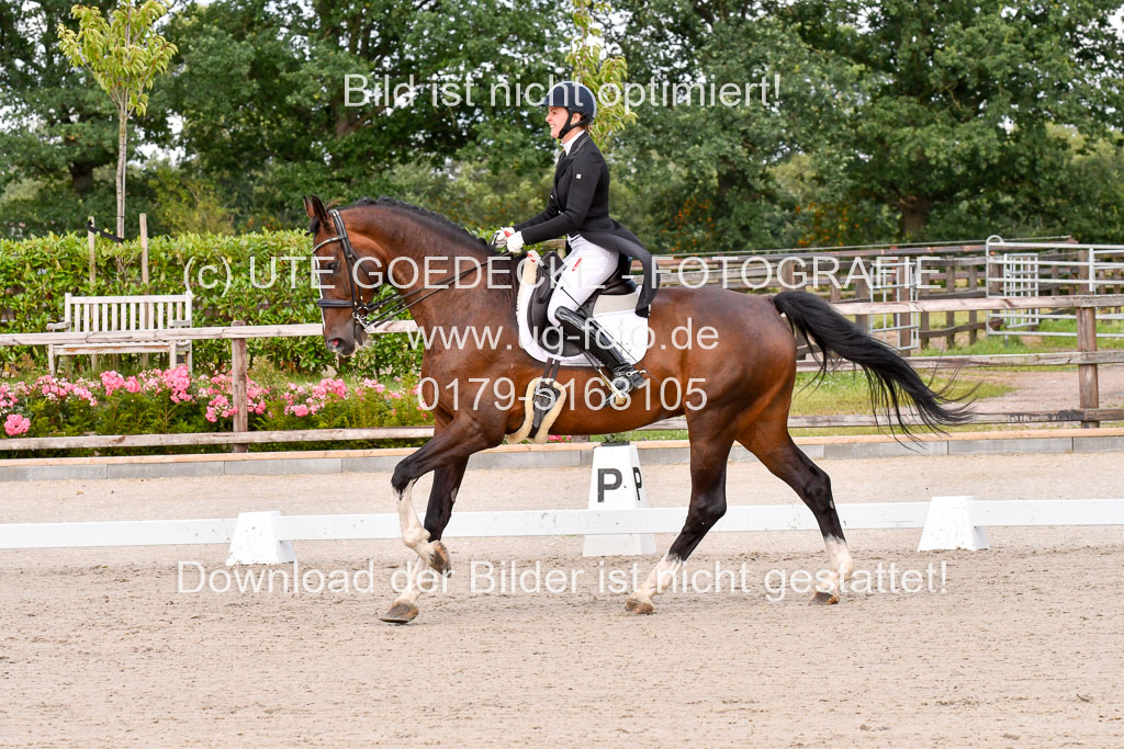 Klein Offenseth Dressur  1.8.2021 | 01082021 Dressur  KL S +_066 