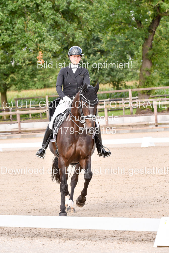 Klein Offenseth Dressur  1.8.2021 | 01082021 Dressur  KL S +_074 
