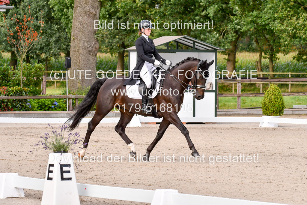 Klein Offenseth Dressur  1.8.2021 | 01082021 Dressur  KL S +_077 