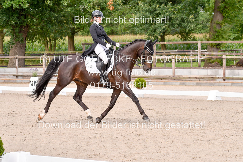 Klein Offenseth Dressur  1.8.2021 | 01082021 Dressur  KL S +_079 