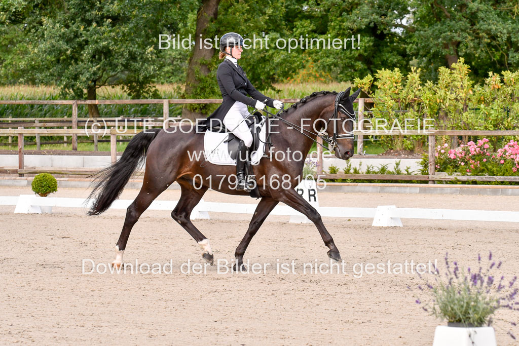 Klein Offenseth Dressur  1.8.2021 | 01082021 Dressur  KL S +_080 