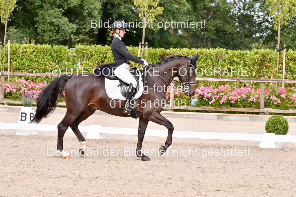 Klein Offenseth Dressur  1.8.2021 | 01082021 Dressur  KL S +_083 