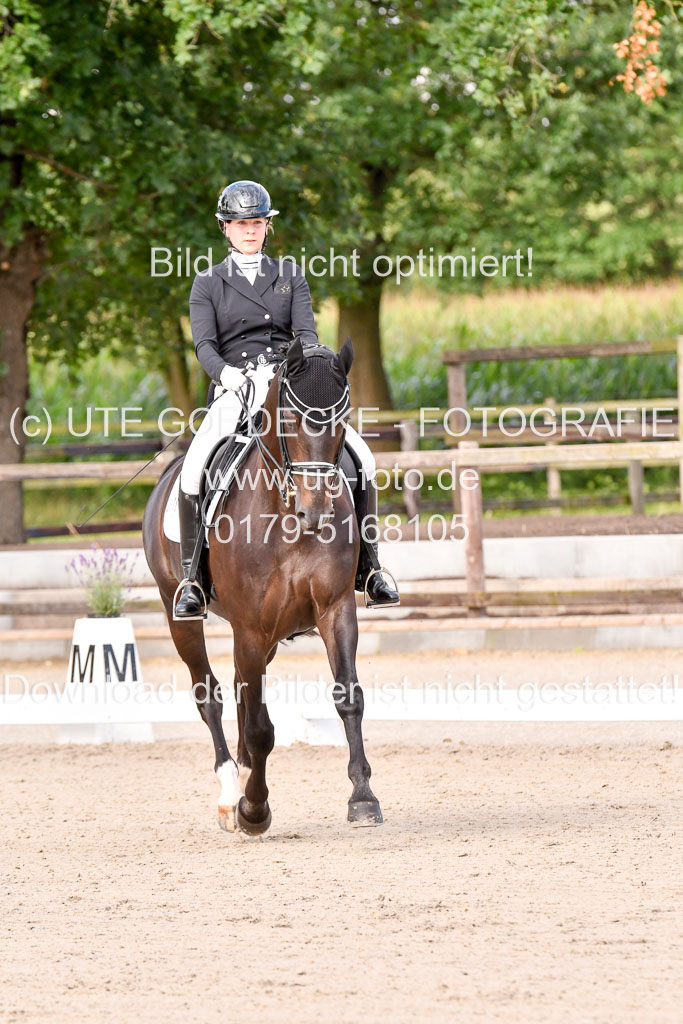 Klein Offenseth Dressur  1.8.2021 | 01082021 Dressur  KL S +_084 