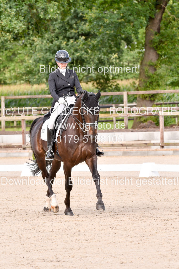 Klein Offenseth Dressur  1.8.2021 | 01082021 Dressur  KL S +_086 