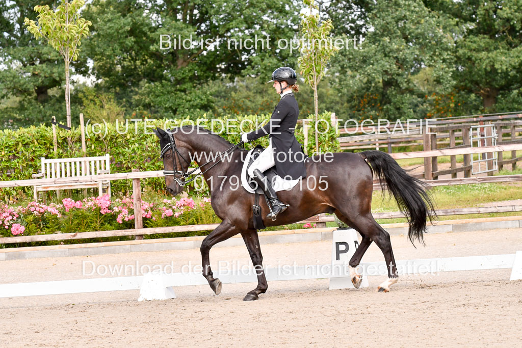 Klein Offenseth Dressur  1.8.2021 | 01082021 Dressur  KL S +_091 