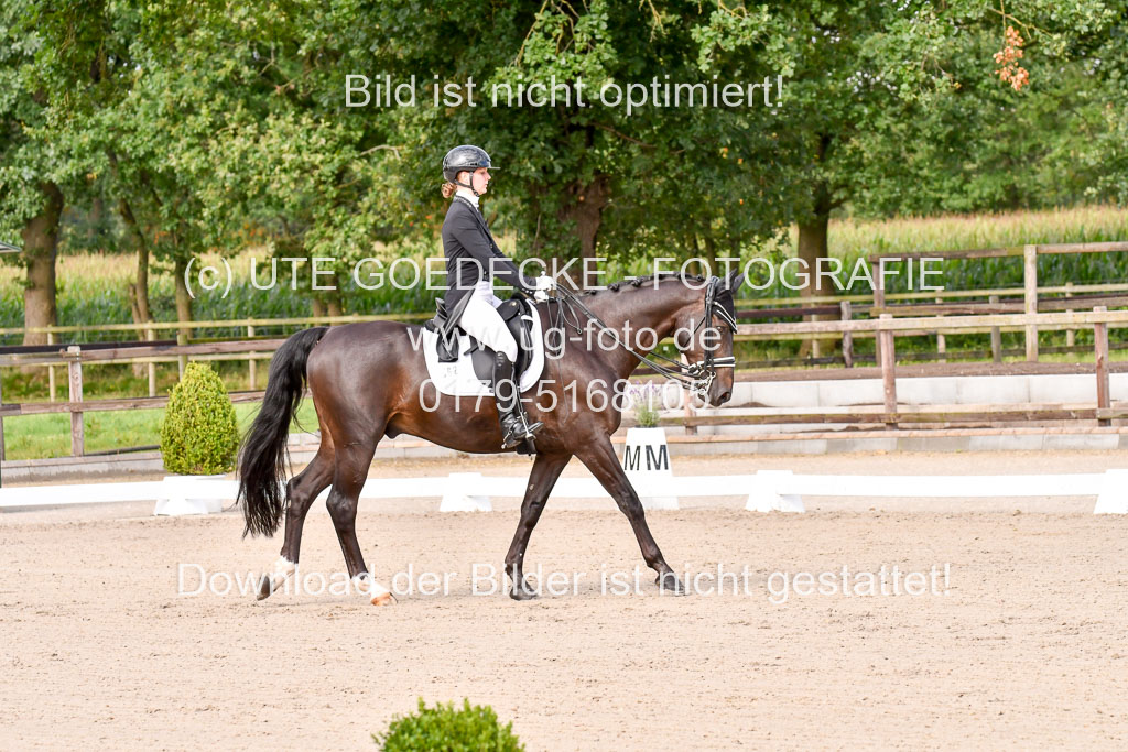 Klein Offenseth Dressur  1.8.2021 | 01082021 Dressur  KL S +_092 