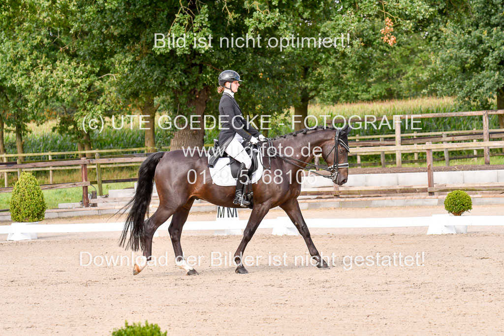 Klein Offenseth Dressur  1.8.2021 | 01082021 Dressur  KL S +_093 