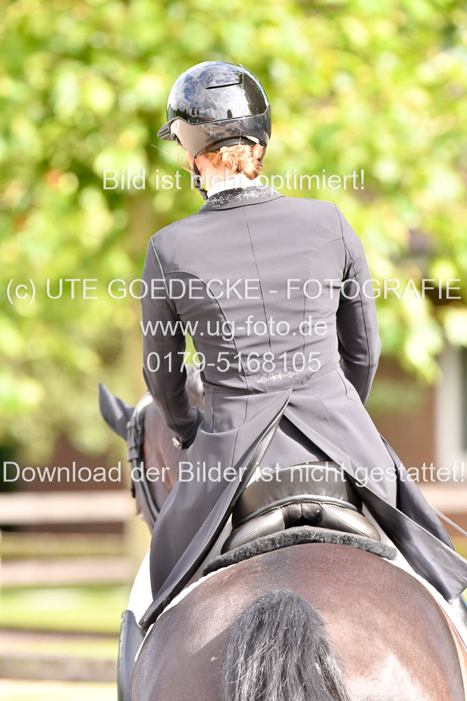 Klein Offenseth Dressur  1.8.2021 | 01082021 Dressur  KL S +_098 