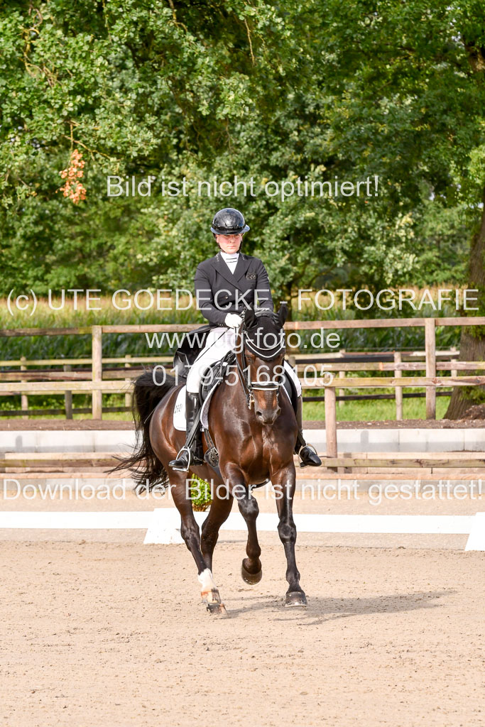 Klein Offenseth Dressur  1.8.2021 | 01082021 Dressur  KL S +_099 