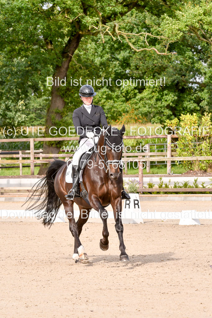 Klein Offenseth Dressur  1.8.2021 | 01082021 Dressur  KL S +_101 