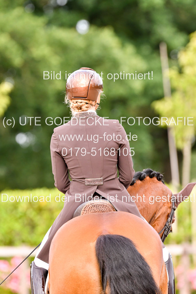 Klein Offenseth Dressur  1.8.2021 | 01082021 Dressur  KL S +_200 