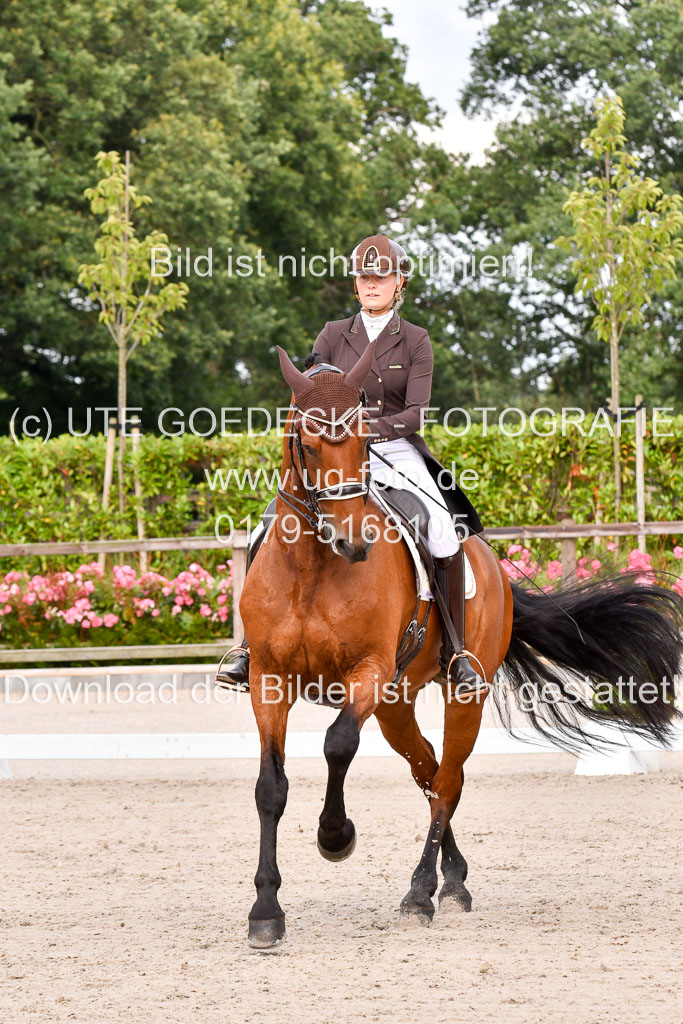 Klein Offenseth Dressur  1.8.2021 | 01082021 Dressur  KL S +_201 