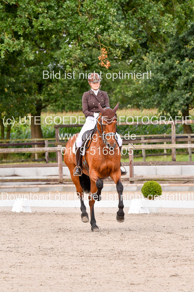 Klein Offenseth Dressur  1.8.2021 | 01082021 Dressur  KL S +_202 