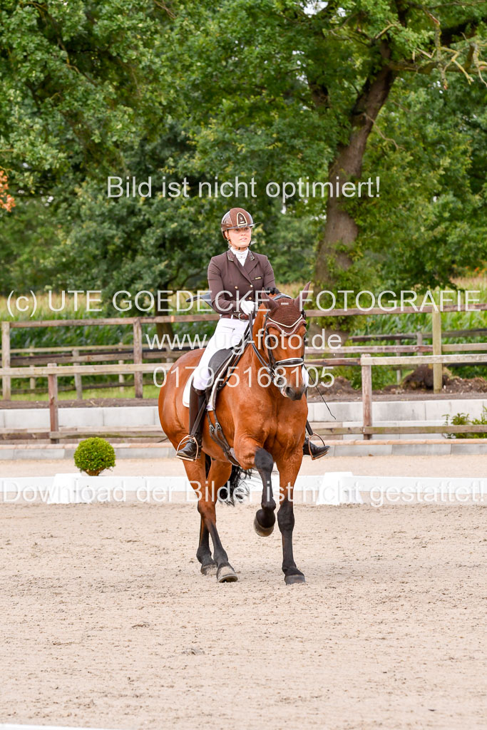 Klein Offenseth Dressur  1.8.2021 | 01082021 Dressur  KL S +_203 