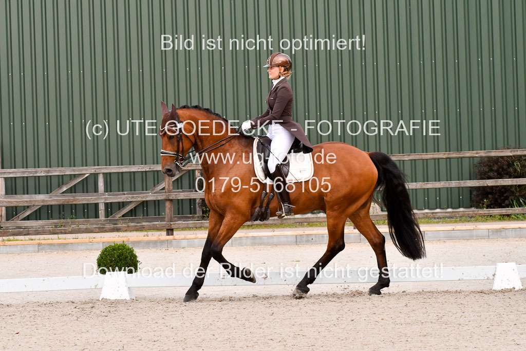 Klein Offenseth Dressur  1.8.2021 | 01082021 Dressur  KL S +_204 