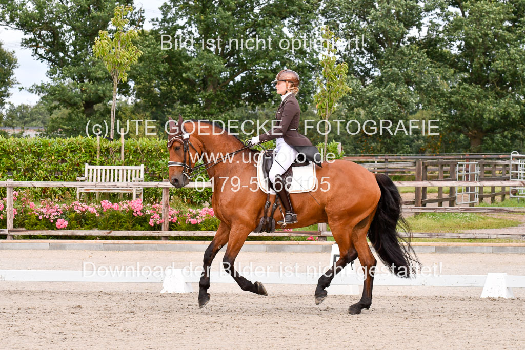 Klein Offenseth Dressur  1.8.2021 | 01082021 Dressur  KL S +_205 