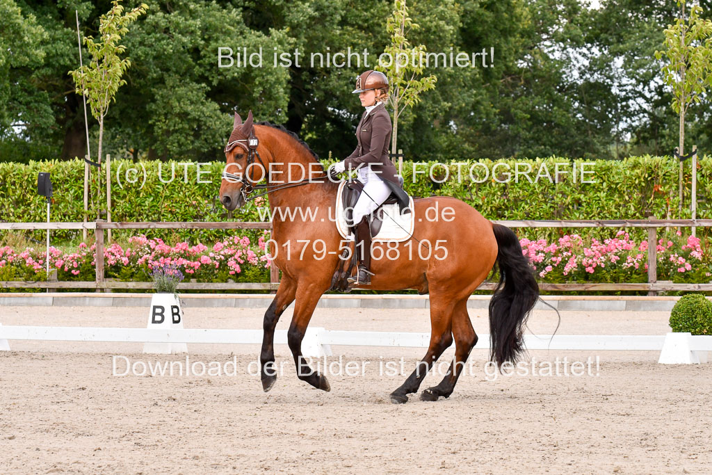 Klein Offenseth Dressur  1.8.2021 | 01082021 Dressur  KL S +_206 