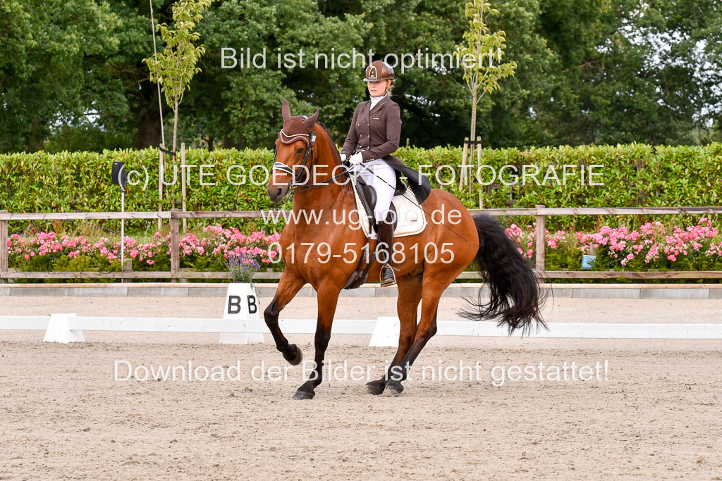 Klein Offenseth Dressur  1.8.2021 | 01082021 Dressur  KL S +_207 