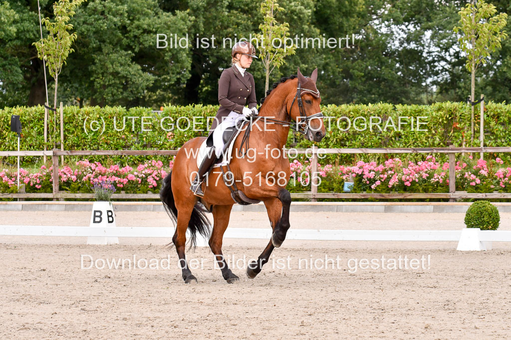 Klein Offenseth Dressur  1.8.2021 | 01082021 Dressur  KL S +_208 