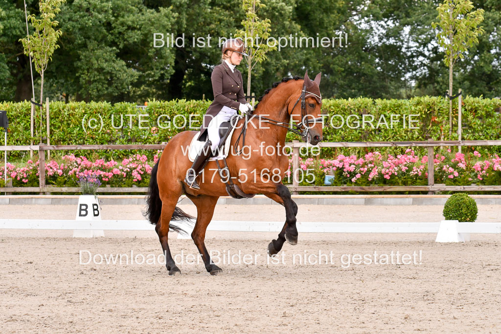 Klein Offenseth Dressur  1.8.2021 | 01082021 Dressur  KL S +_209 