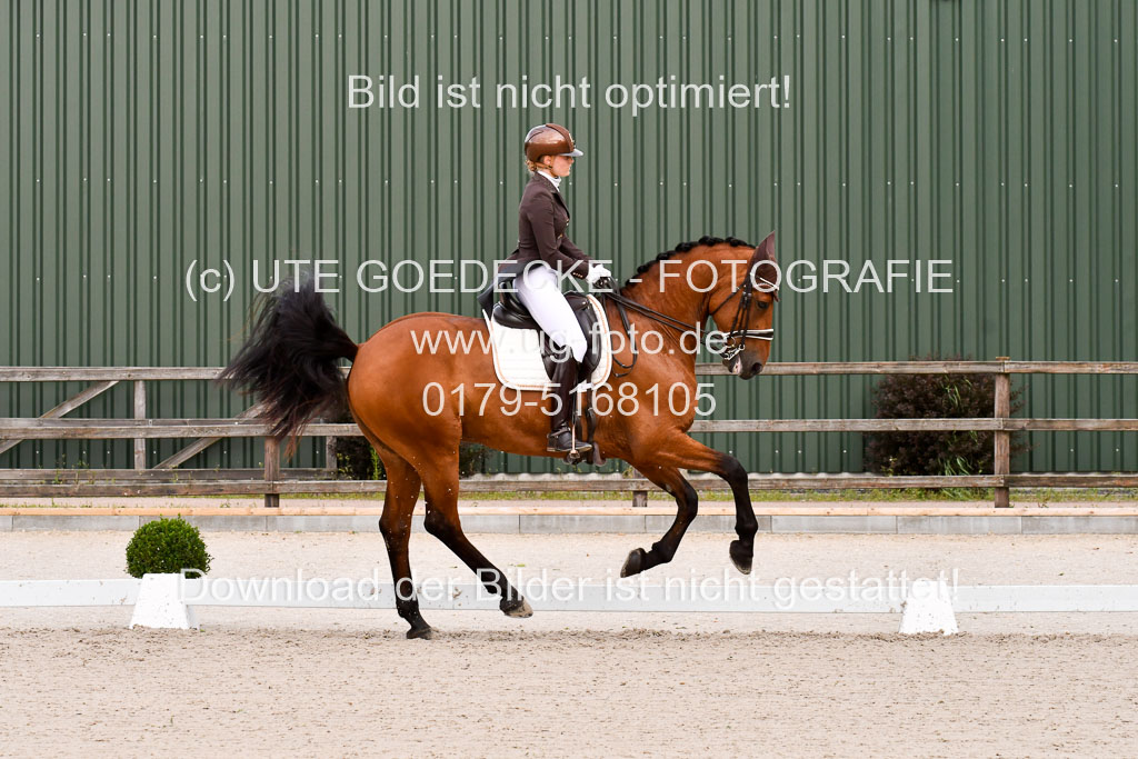 Klein Offenseth Dressur  1.8.2021 | 01082021 Dressur  KL S +_210 