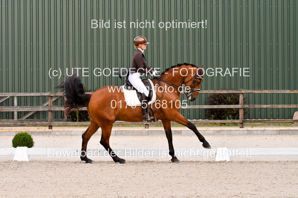 Klein Offenseth Dressur  1.8.2021 | 01082021 Dressur  KL S +_211 