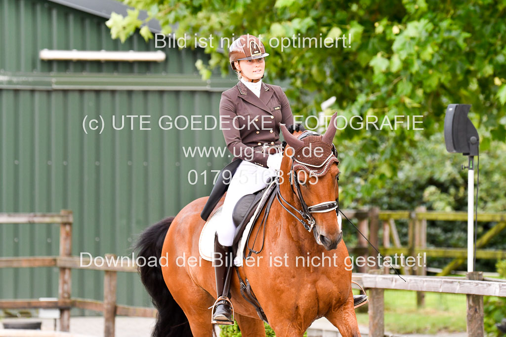 Klein Offenseth Dressur  1.8.2021 | 01082021 Dressur  KL S +_212 