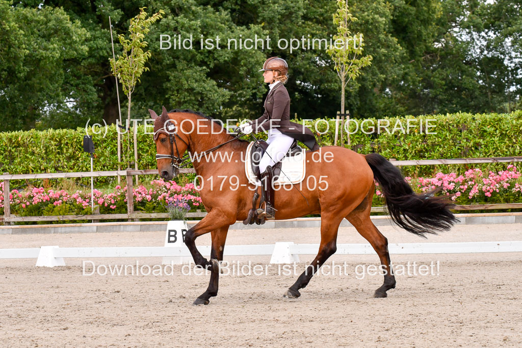 Klein Offenseth Dressur  1.8.2021 | 01082021 Dressur  KL S +_214 