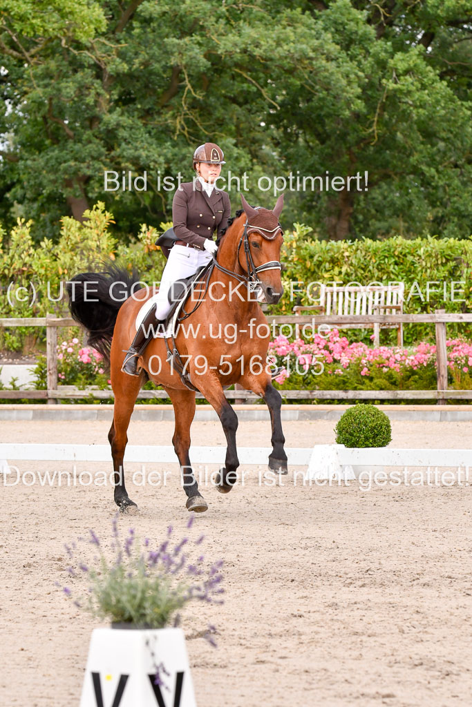 Klein Offenseth Dressur  1.8.2021 | 01082021 Dressur  KL S +_215 