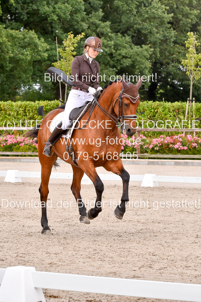 Klein Offenseth Dressur  1.8.2021 | 01082021 Dressur  KL S +_216 