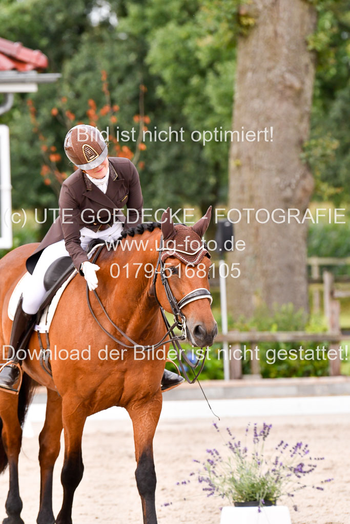 Klein Offenseth Dressur  1.8.2021 | 01082021 Dressur  KL S +_220 
