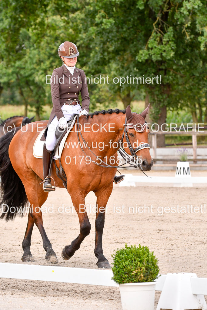 Klein Offenseth Dressur  1.8.2021 | 01082021 Dressur  KL S +_225 