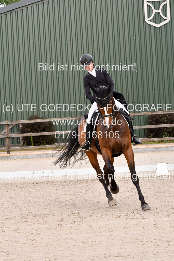 Klein Offenseth Dressur  1.8.2021 | 01082021 Dressur  KL S +_232 