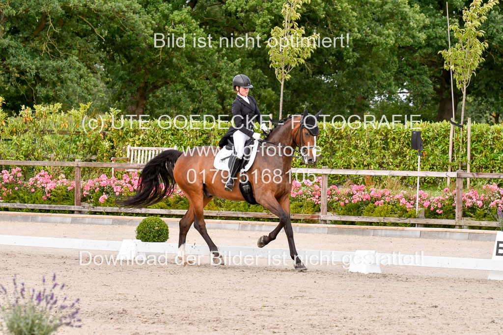 Klein Offenseth Dressur  1.8.2021 | 01082021 Dressur  KL S +_233 