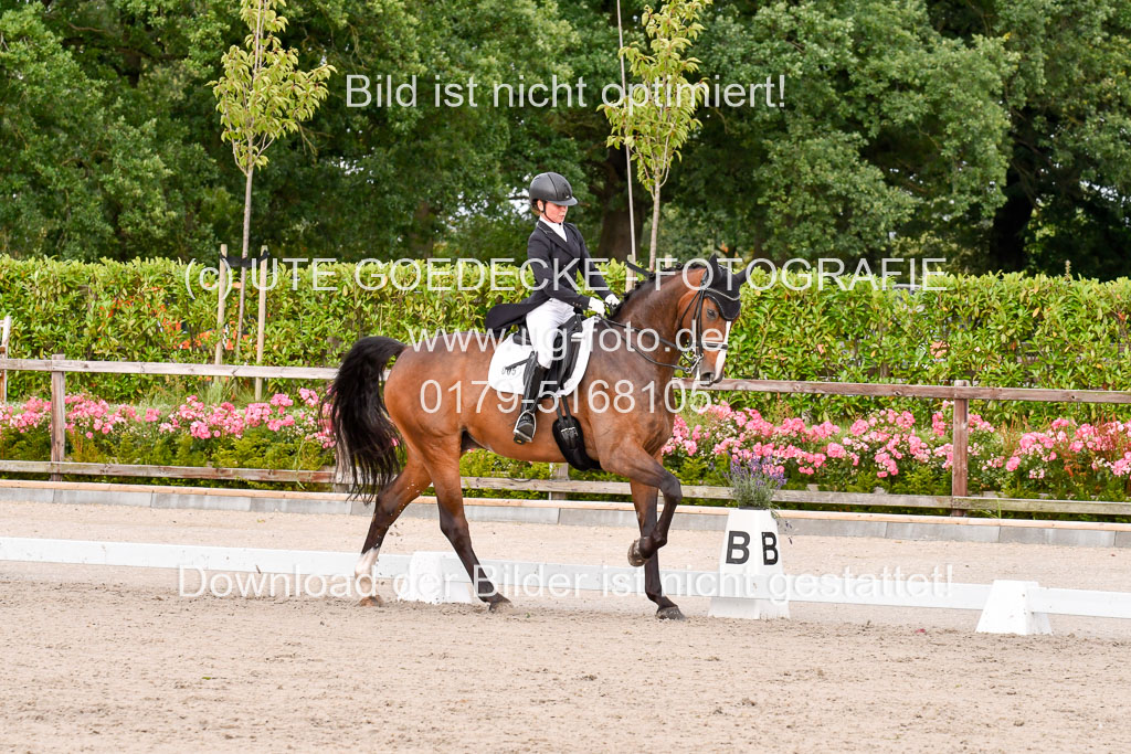 Klein Offenseth Dressur  1.8.2021 | 01082021 Dressur  KL S +_234 