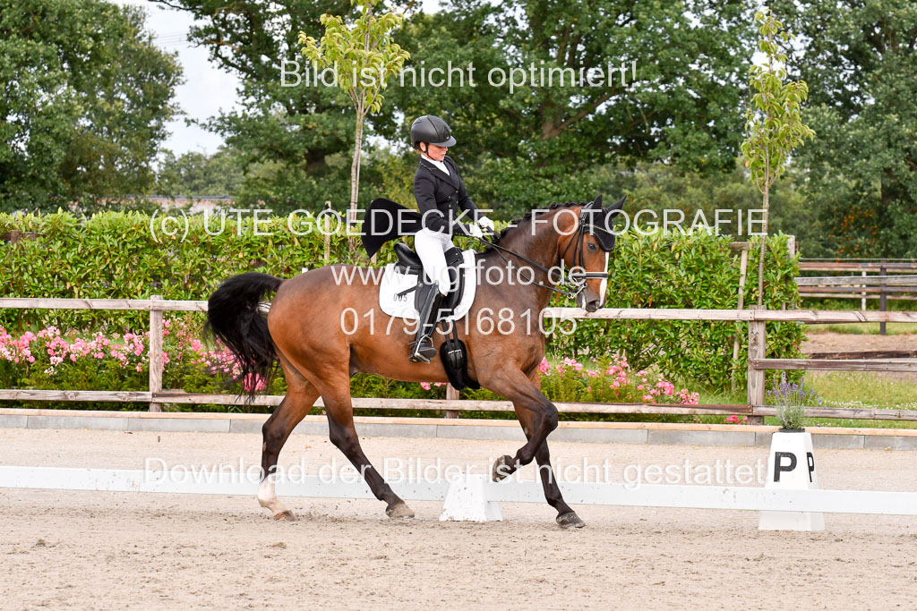 Klein Offenseth Dressur  1.8.2021 | 01082021 Dressur  KL S +_235 