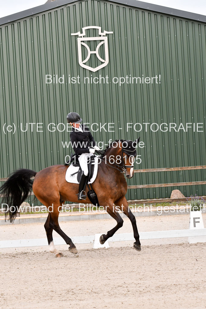 Klein Offenseth Dressur  1.8.2021 | 01082021 Dressur  KL S +_236 