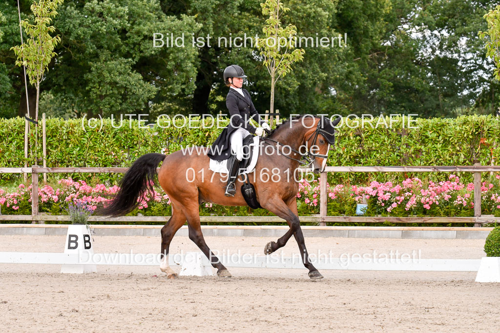Klein Offenseth Dressur  1.8.2021 | 01082021 Dressur  KL S +_238 