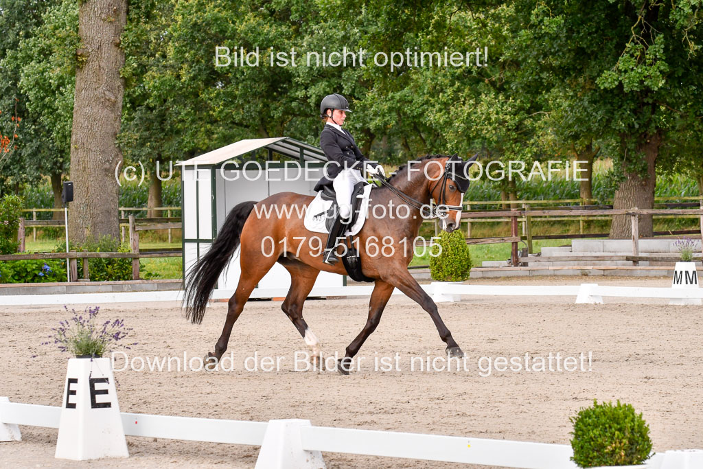 Klein Offenseth Dressur  1.8.2021 | 01082021 Dressur  KL S +_239 