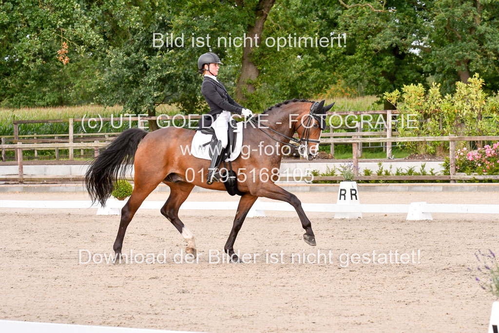 Klein Offenseth Dressur  1.8.2021 | 01082021 Dressur  KL S +_241 