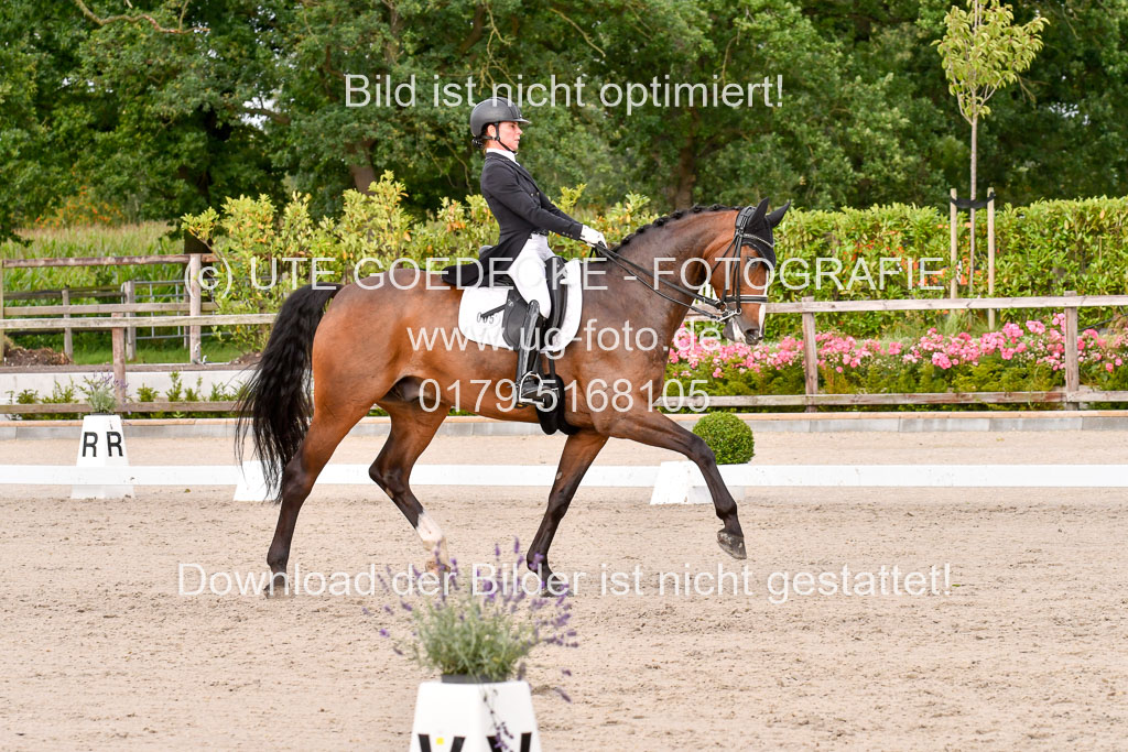 Klein Offenseth Dressur  1.8.2021 | 01082021 Dressur  KL S +_242 