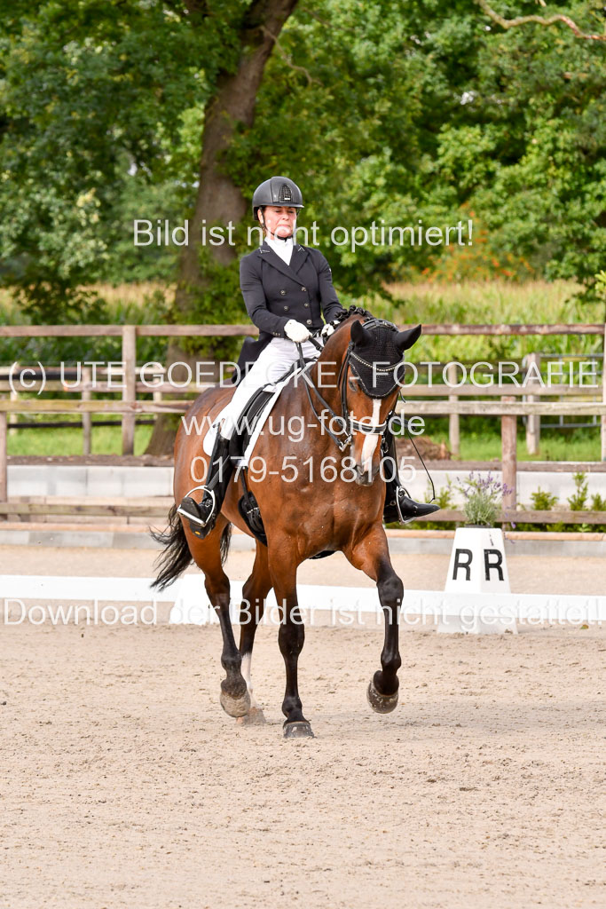 Klein Offenseth Dressur  1.8.2021 | 01082021 Dressur  KL S +_243 