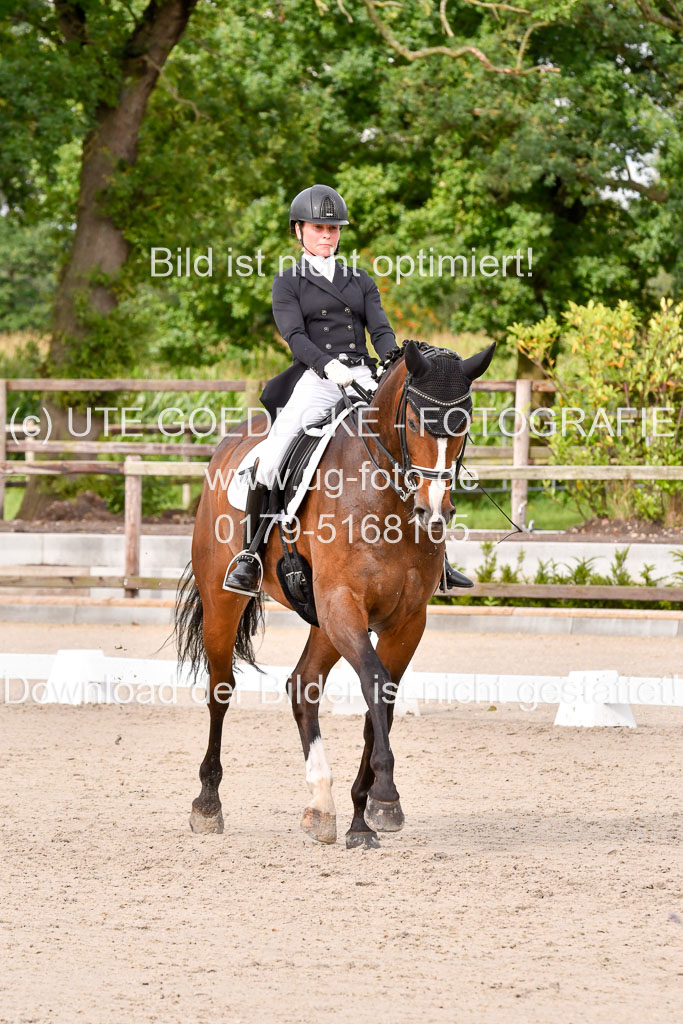 Klein Offenseth Dressur  1.8.2021 | 01082021 Dressur  KL S +_244 