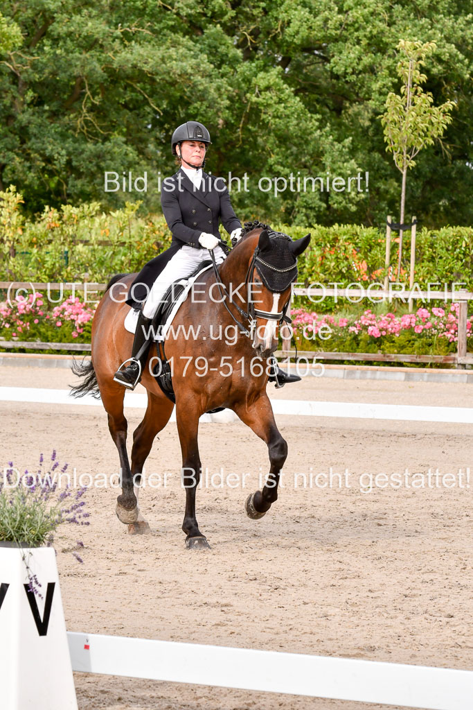 Klein Offenseth Dressur  1.8.2021 | 01082021 Dressur  KL S +_245 
