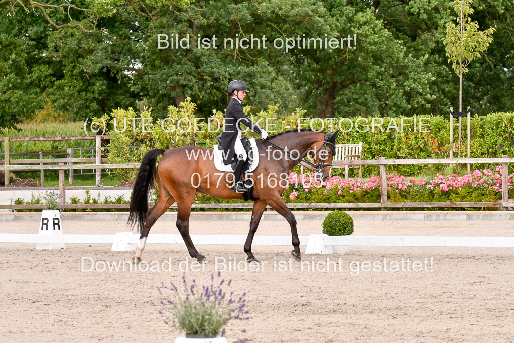 Klein Offenseth Dressur  1.8.2021 | 01082021 Dressur  KL S +_246 