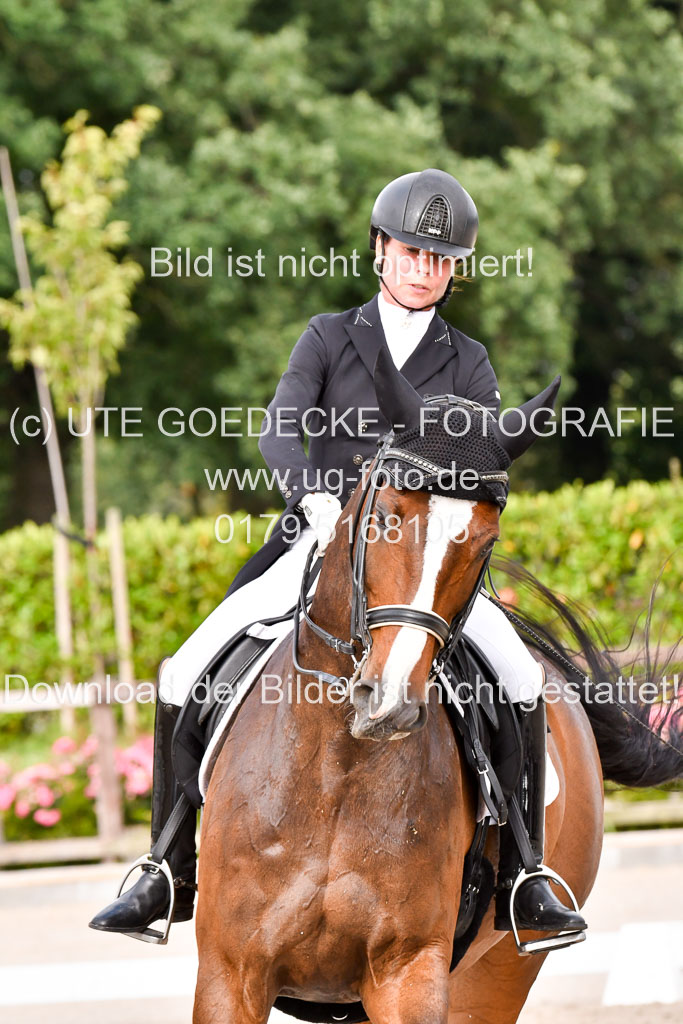 Klein Offenseth Dressur  1.8.2021 | 01082021 Dressur  KL S +_248 